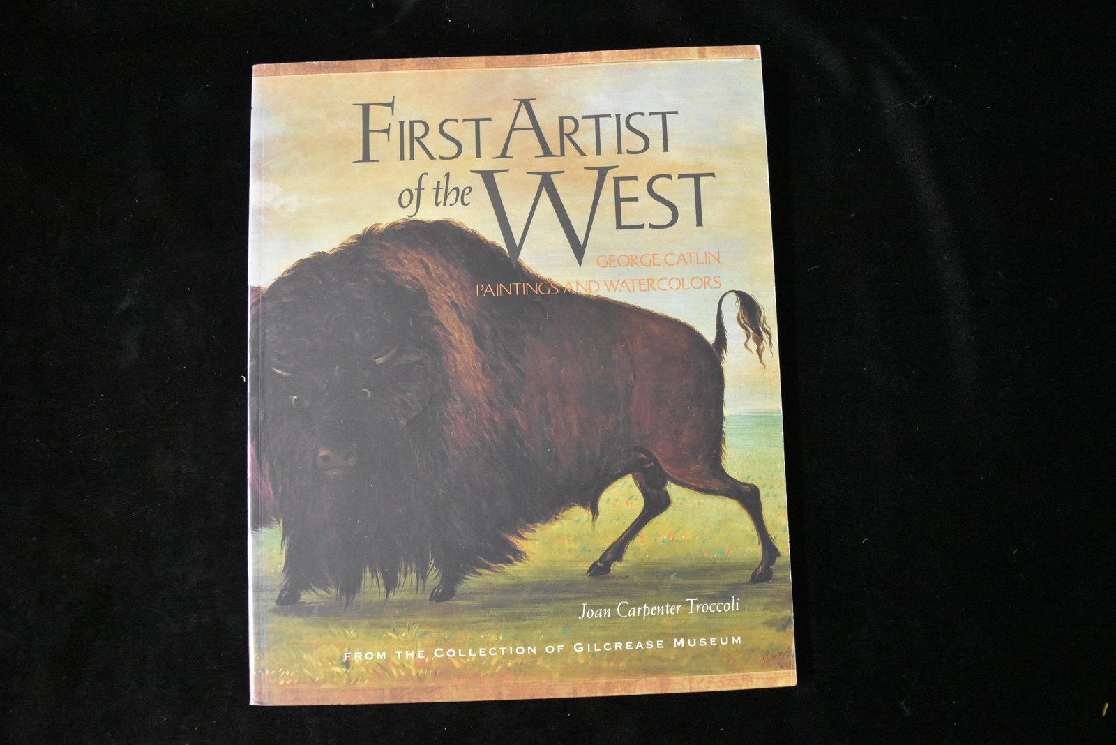First Artist of the West George Catlin by Joan: First Artist of the West George Catlin by Joan Carpenter Troccoli