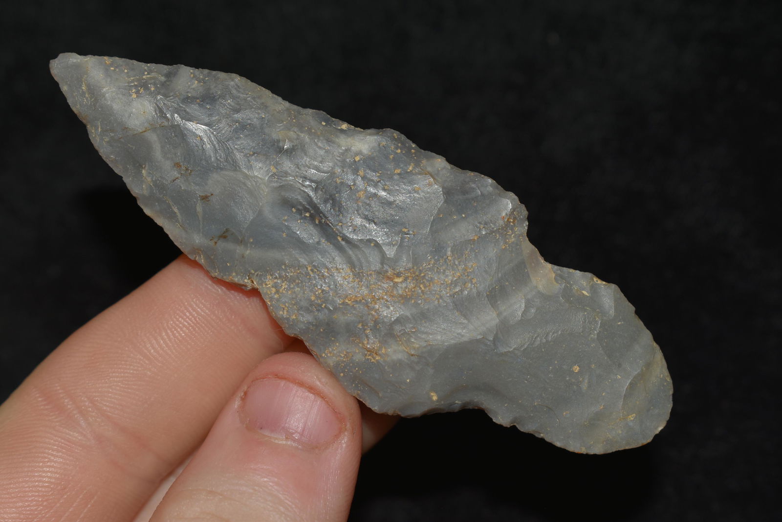 3 3/8" Hornstone Turkey Tail found Southern Indiana (1 of 4)