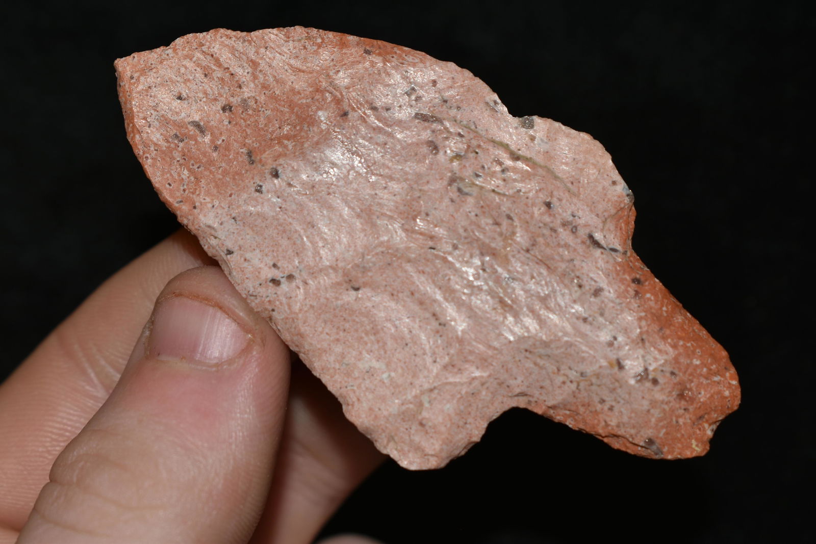 2 7/8" Adena found in Monroe Co., Illinois (1 of 4)