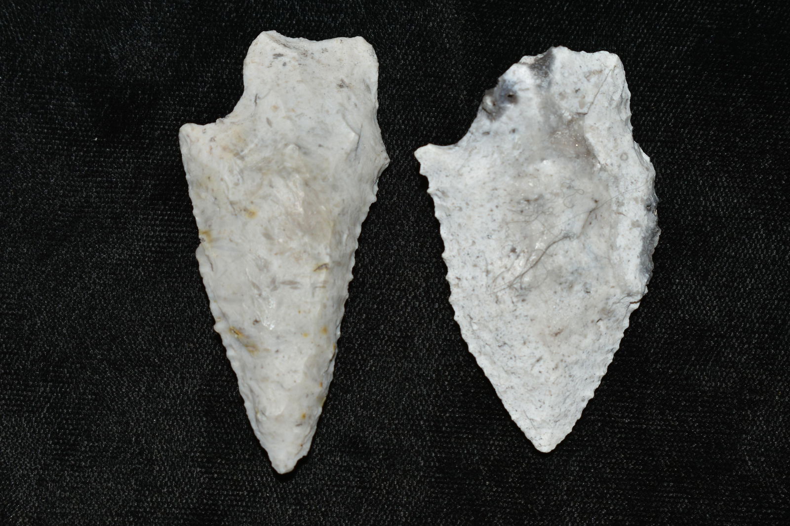 Lot of 2 Florida Arrowheads, Largest is 2 1/2" (1 of 3)