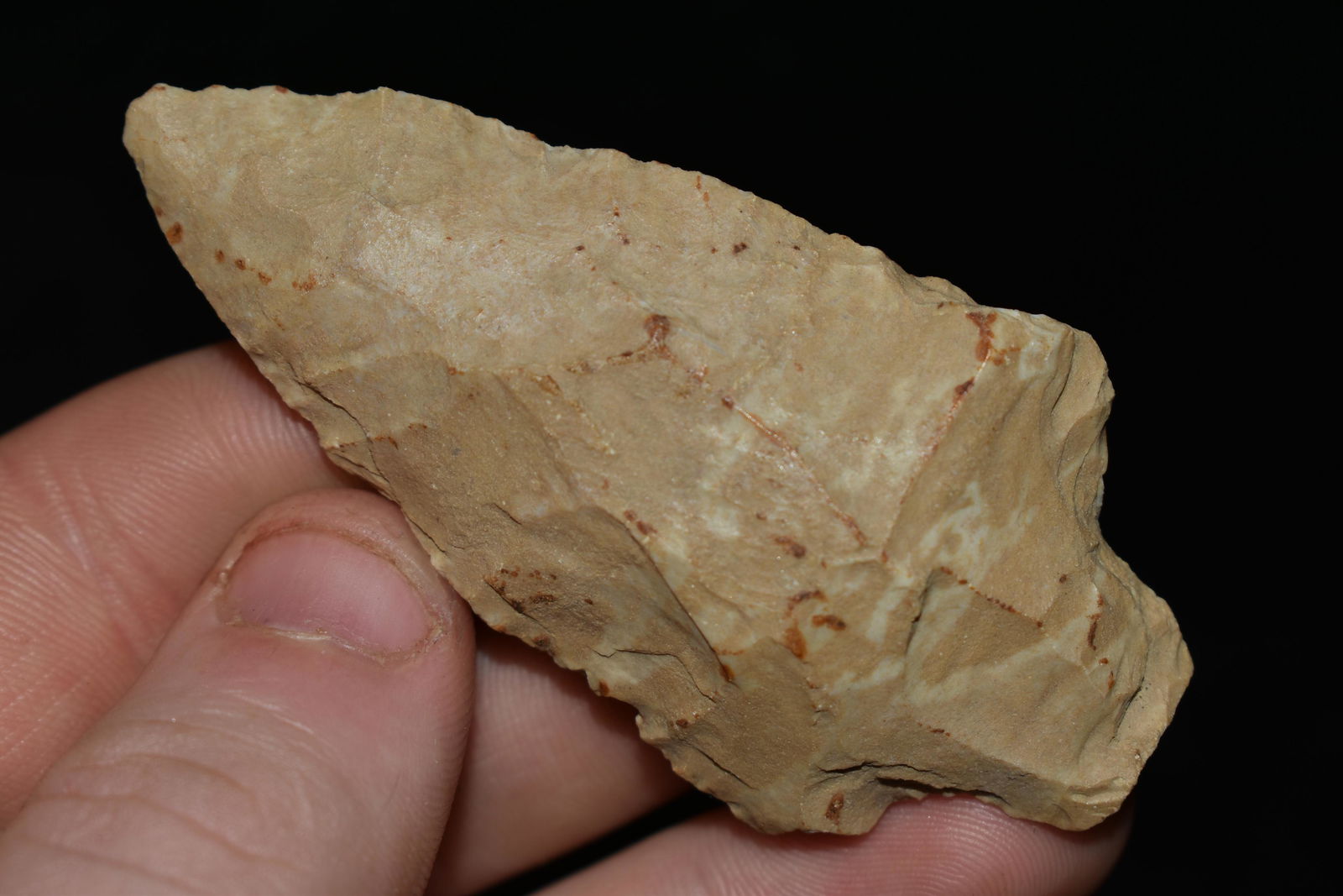 2 3/4" Ledbetter found in Kentucky (1 of 4)