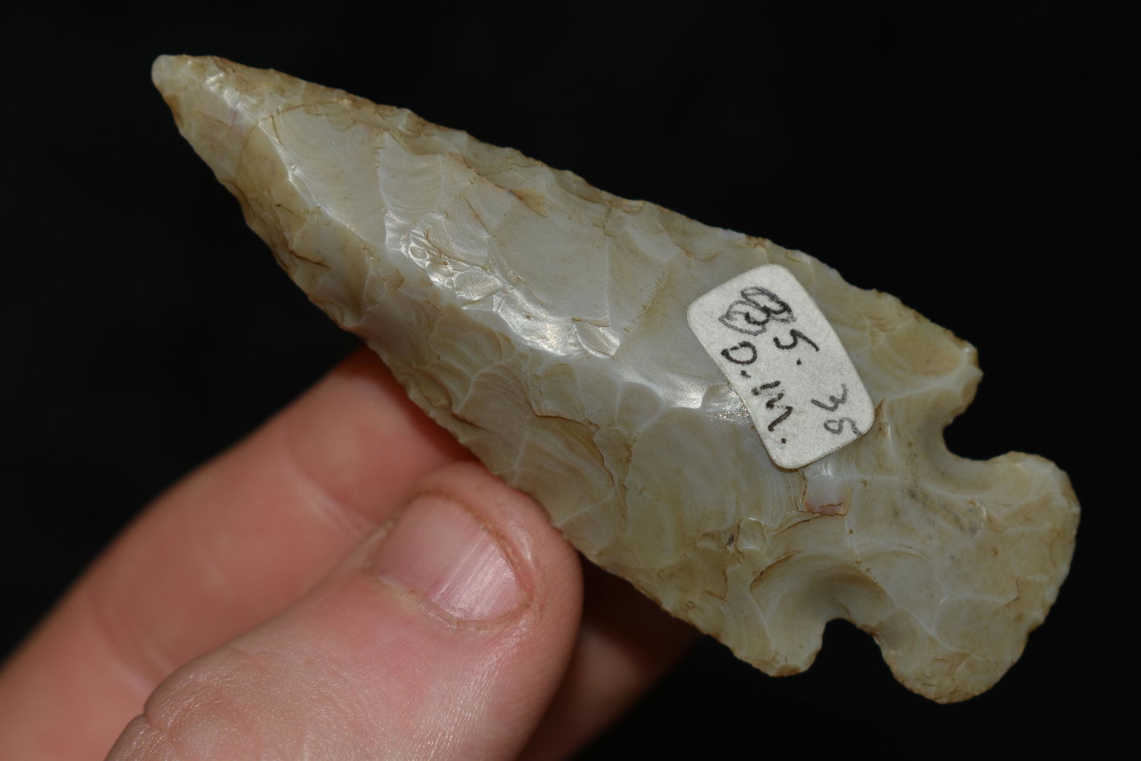 2 3/4" Dovetail found in Missouri (1 of 4)