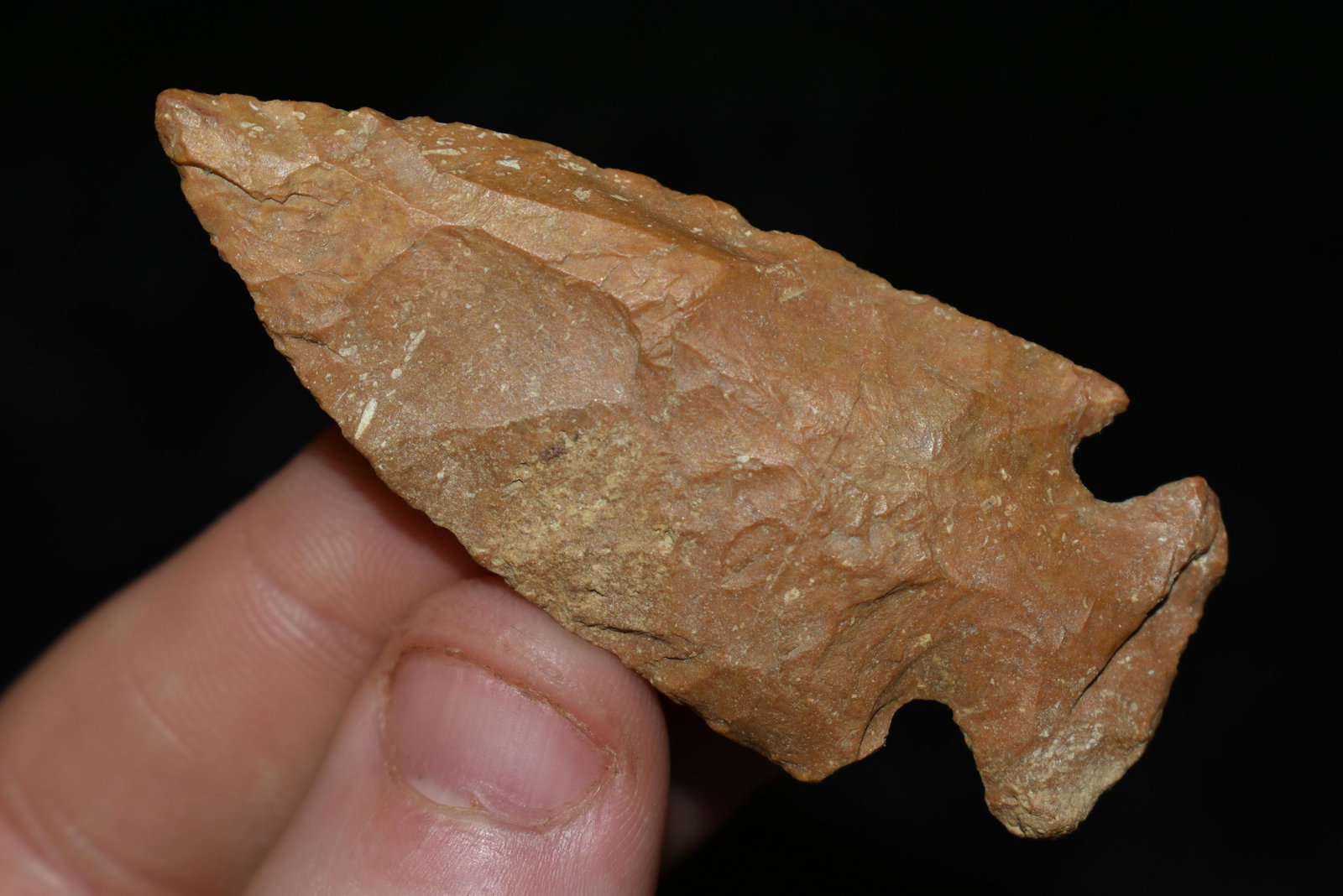 2 3/8" Woodland Point found in Jackson Co., Illinois (1 of 4)