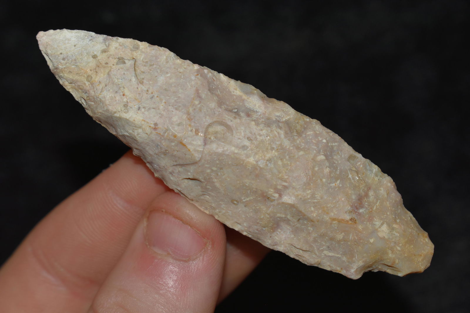 3 1/4" Stemmed Point found in Union Co., Illinois (1 of 4)