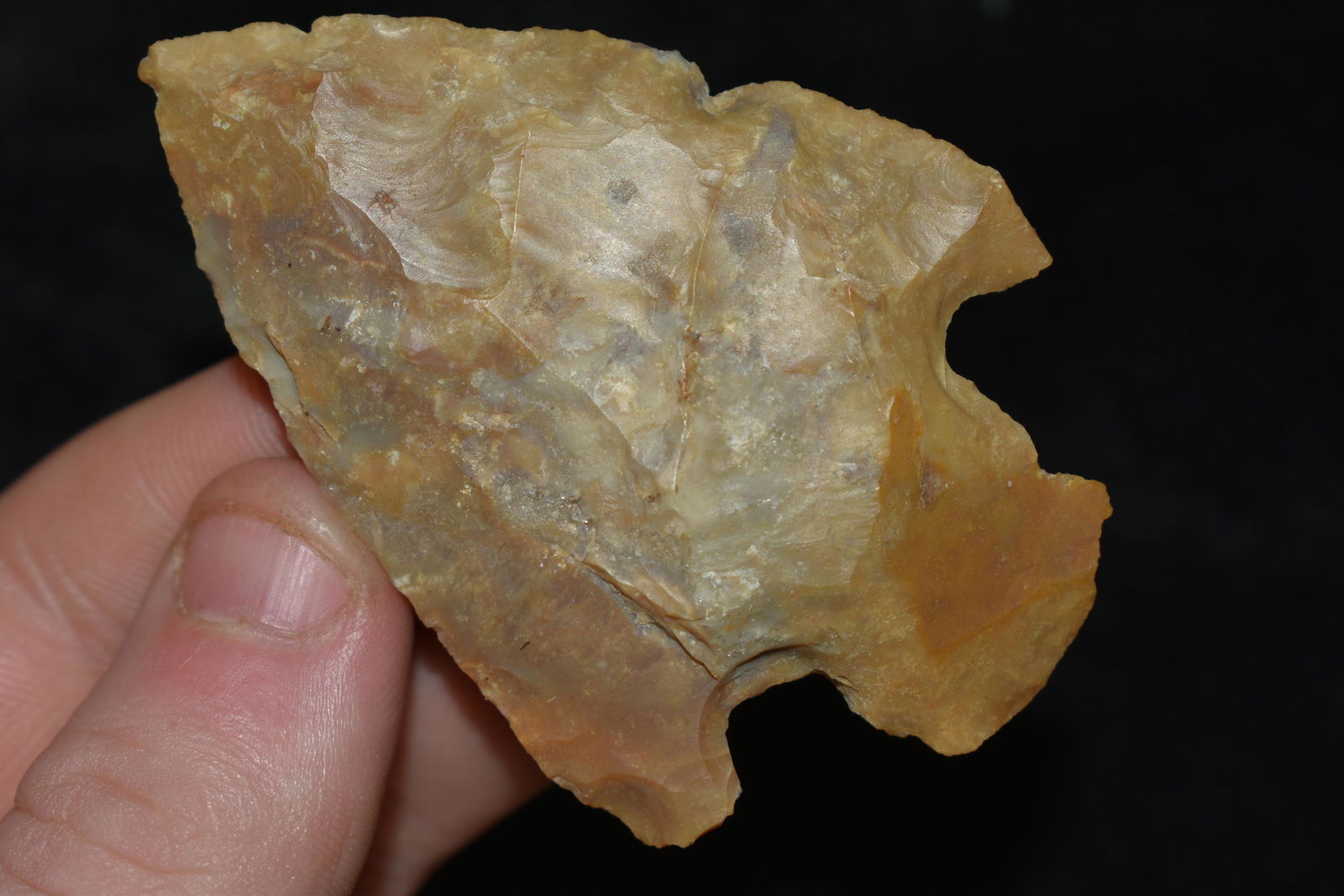 2 3/4" Kays Point found in Tennessee (1 of 4)