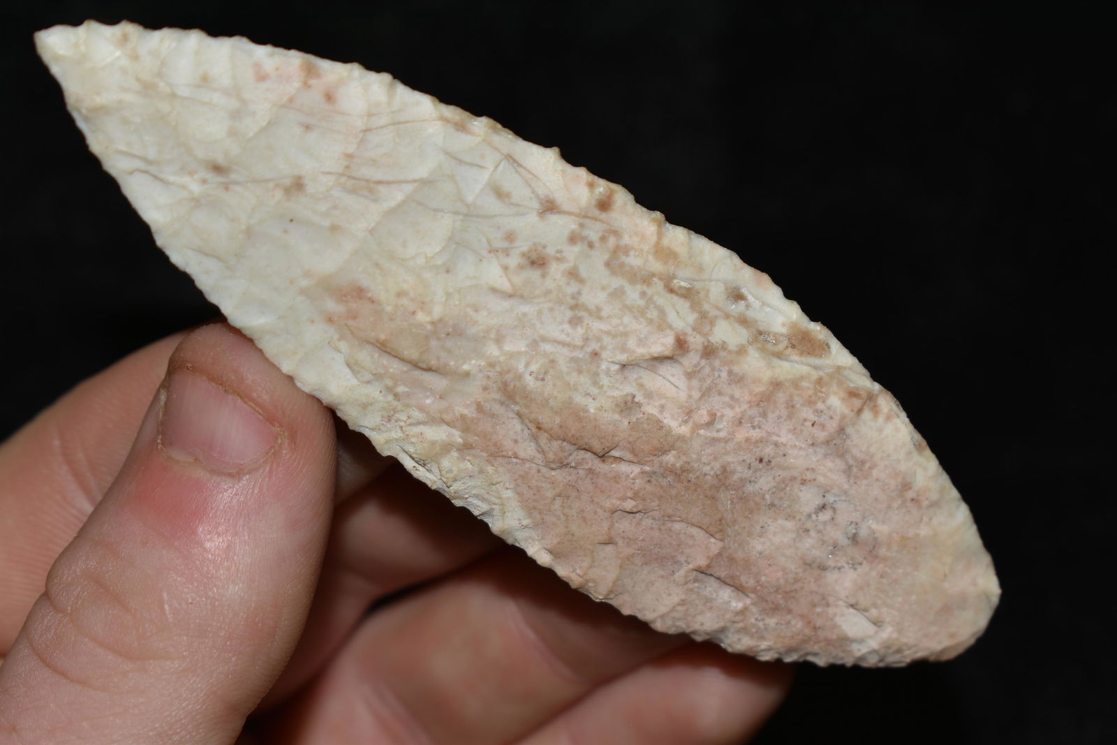 3 3/4" Leaf Blade found in Indiana (1 of 4)