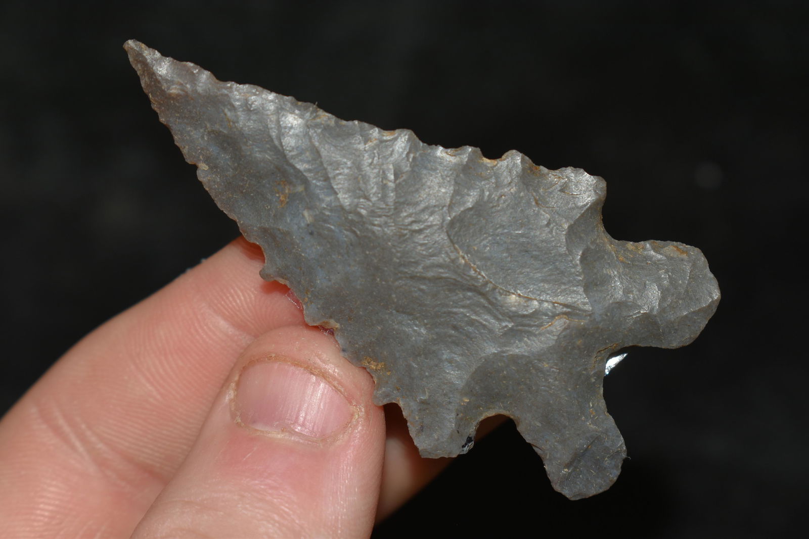 2 3/8" Lacroy Point found in Fentress Co., Tennessee (1 of 6)