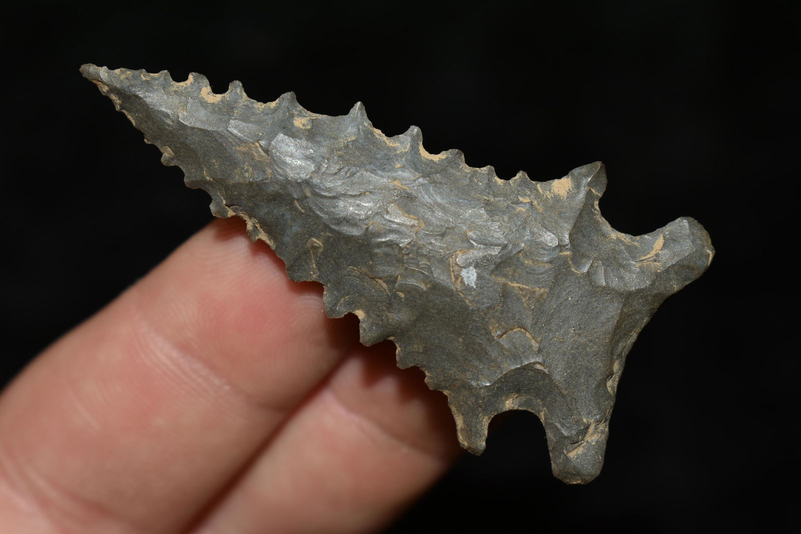 2 1/8" Archaic Pinetree found in Morgan Co., Alabama (1 of 6)