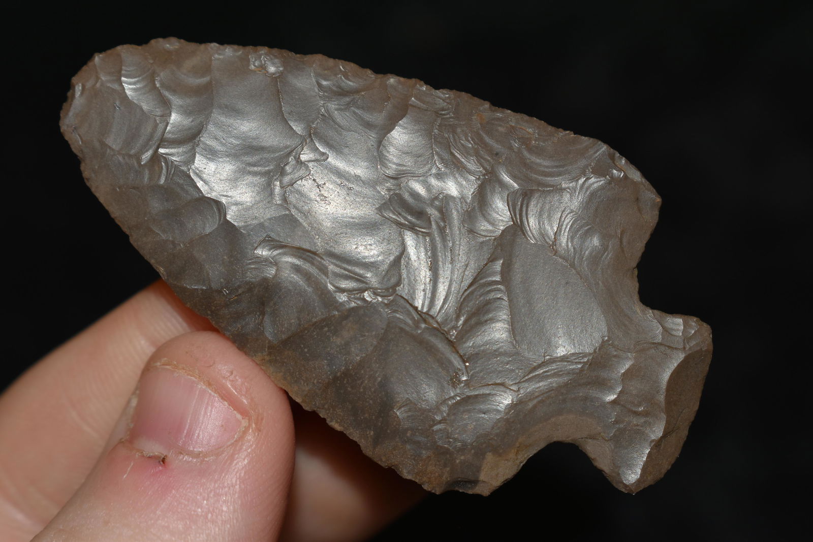 2 3/8" Tablerock found in Ohio (1 of 4)