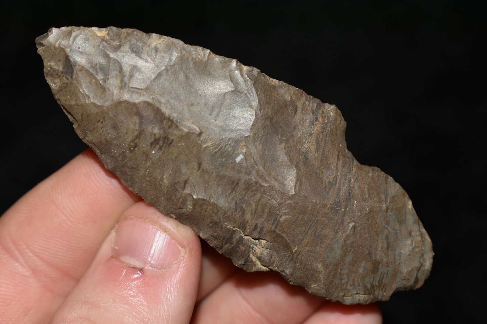 3" Adena, Fort Payne Chert, found in Tennessee (1 of 4)