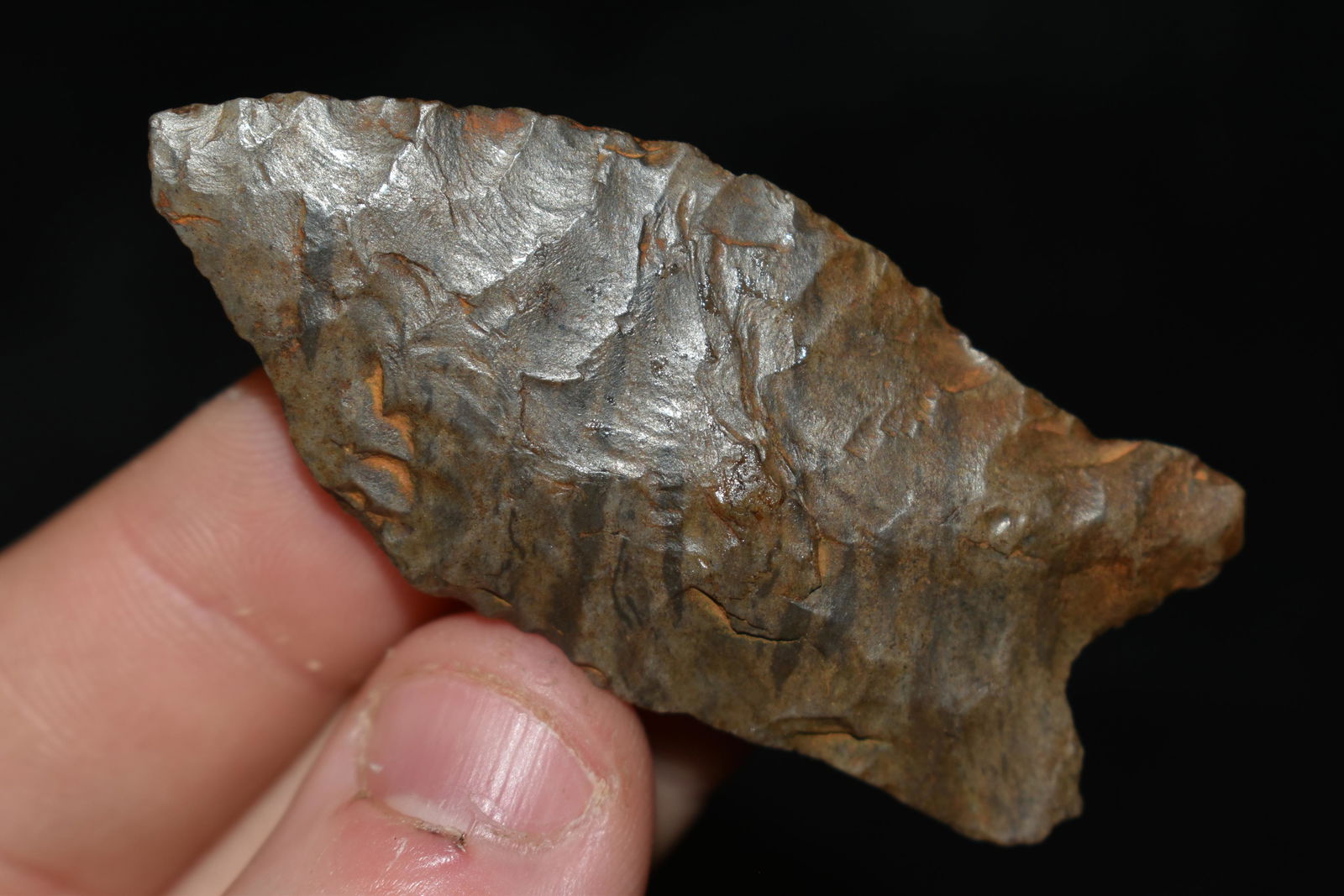 2 1/4" Quad Point found in Tennessee (1 of 4)