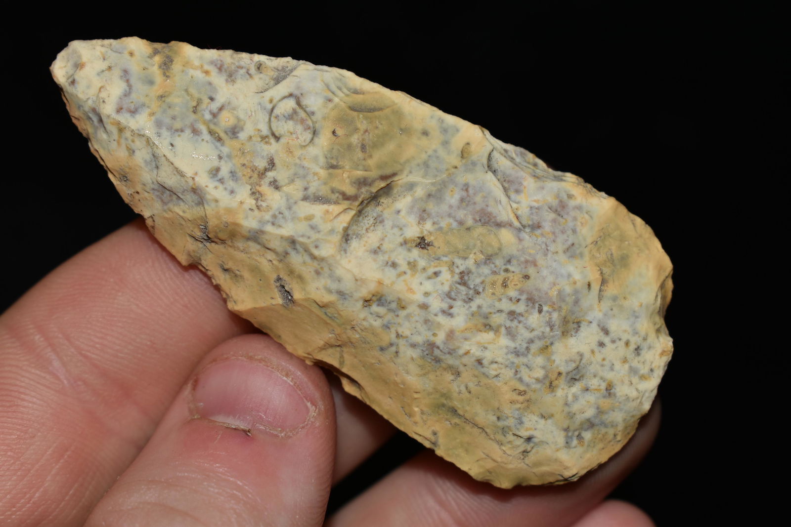 2 3/4" Blade found in Florida (1 of 4)