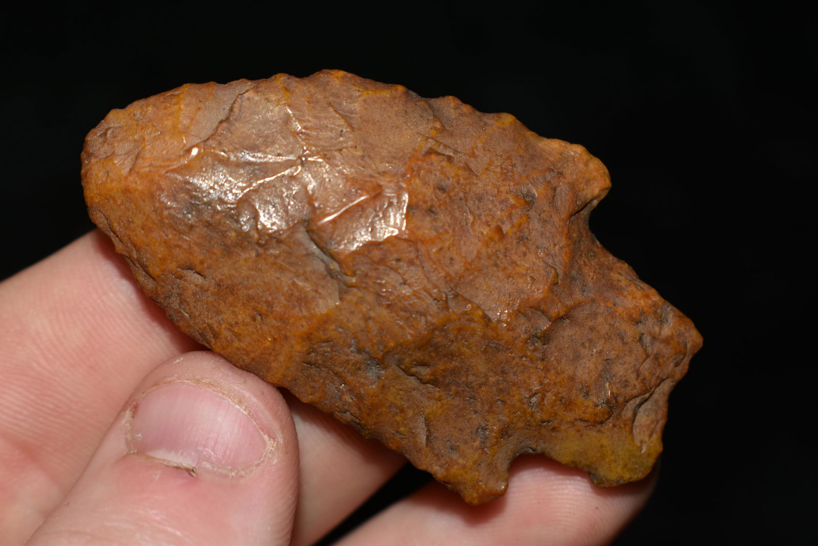 2 1/4" Gaden found in Florida (1 of 4)