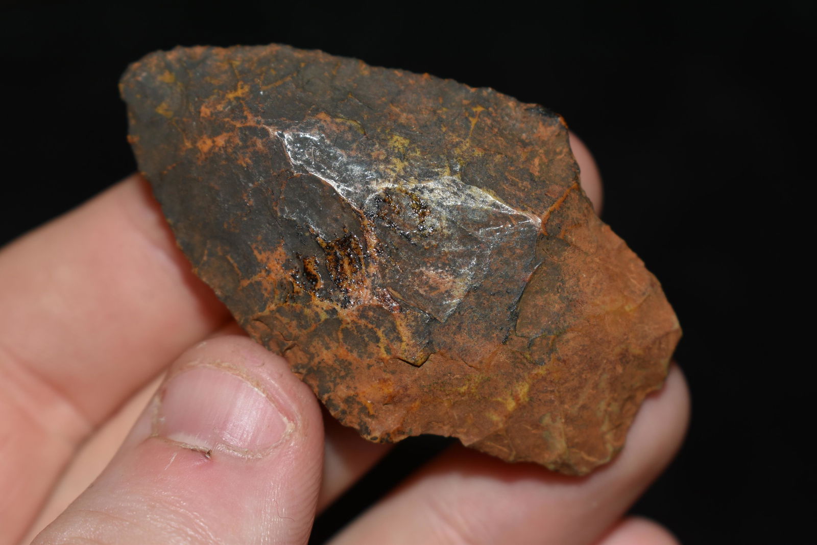 2 1/4" Pickwick found in Florida (1 of 4)