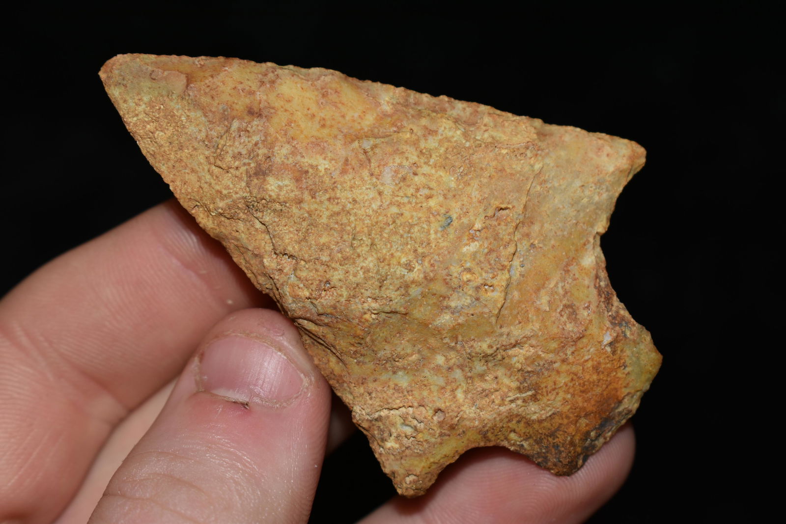 2 3/4" Abbey Point found in Florida (1 of 4)