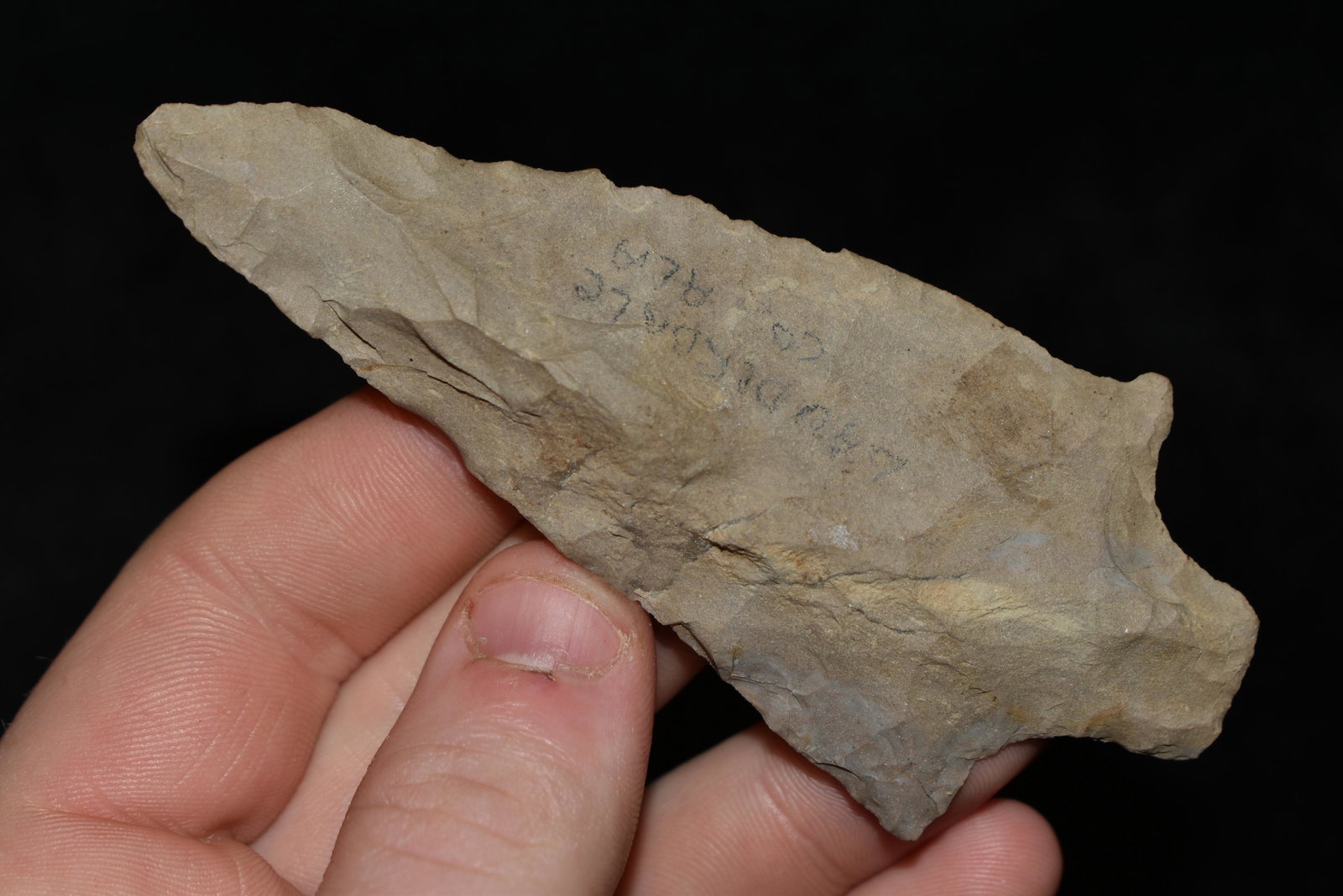 3 7/8" Pickwick Point found in Tennessee (1 of 4)