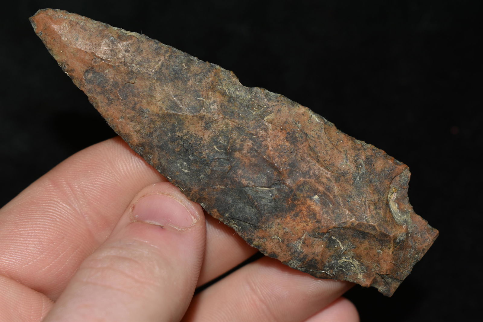 3 1/2" Square Stemed Point found Tennessee (1 of 4)