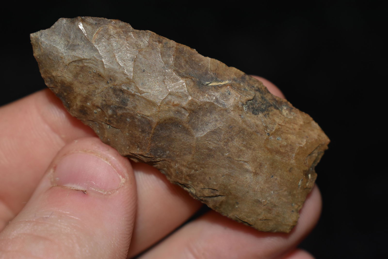 2 1/4" Blade found in Tennessee (1 of 4)