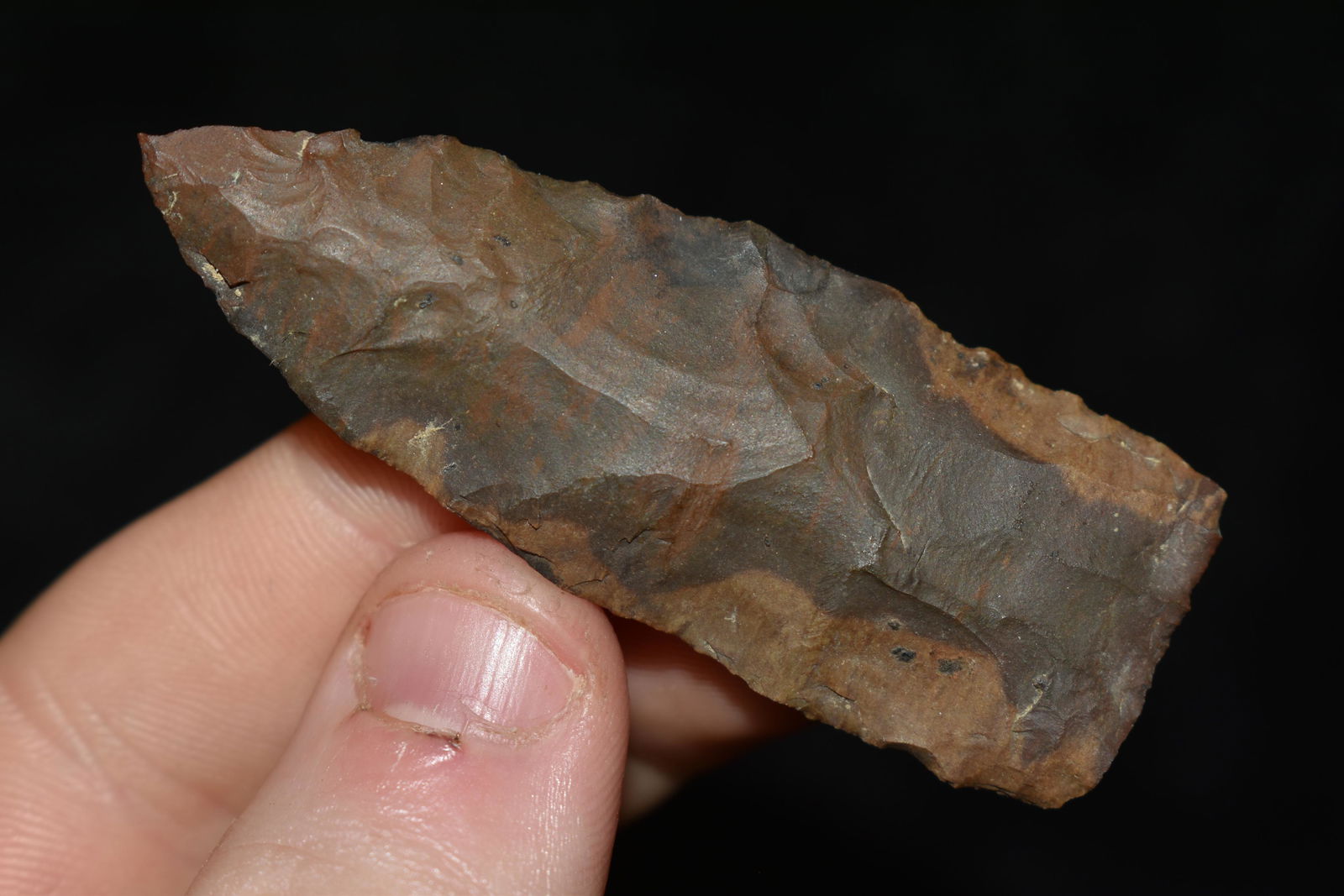 2 3/8" Blade found in Tennessee (1 of 4)