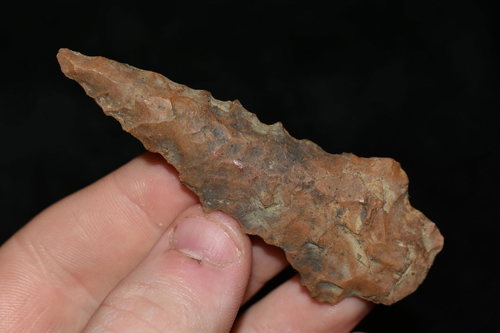 3" Elk River found in Tennessee (1 of 4)