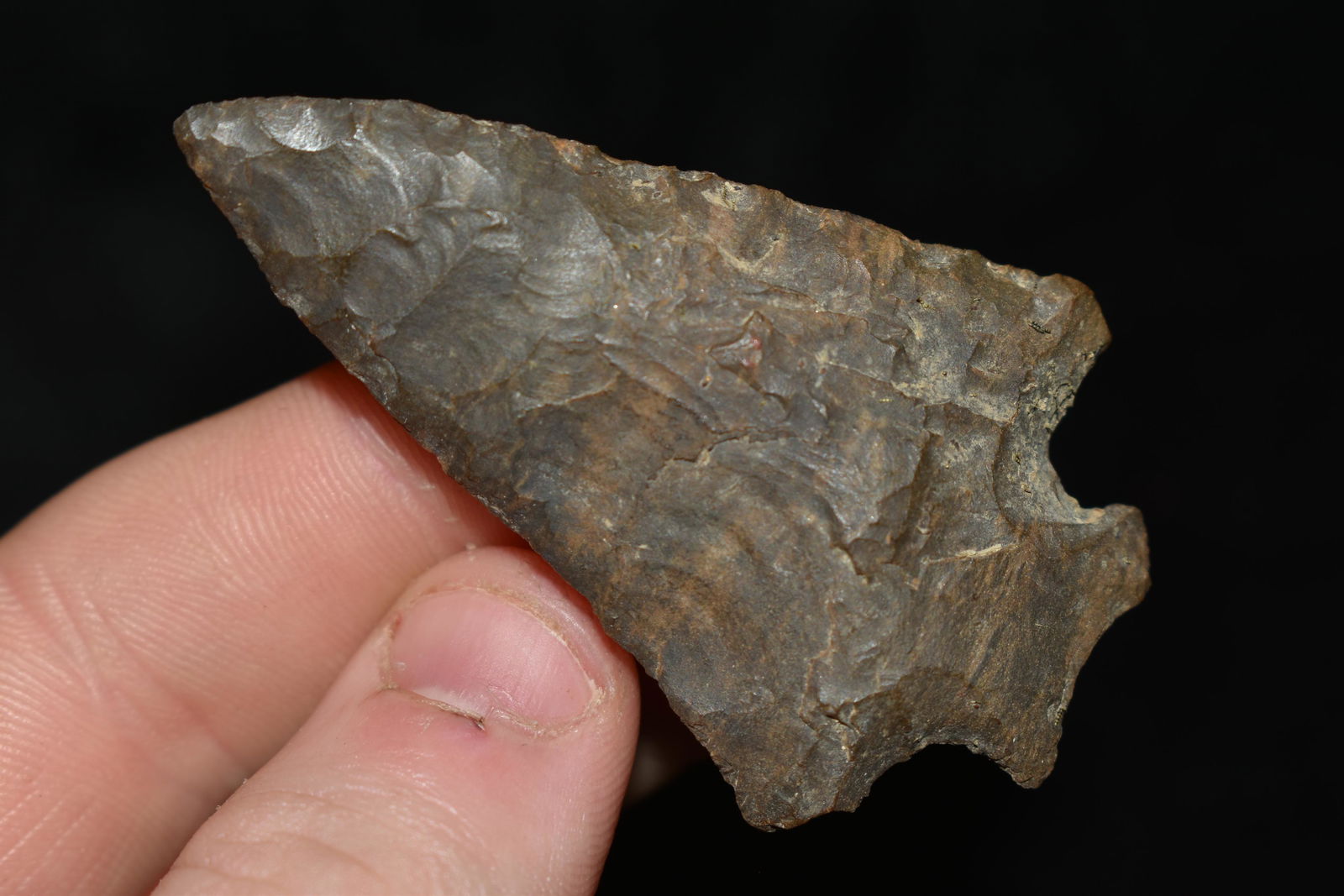 2 3/8" Buzzard Roost found in Tennessee (1 of 4)