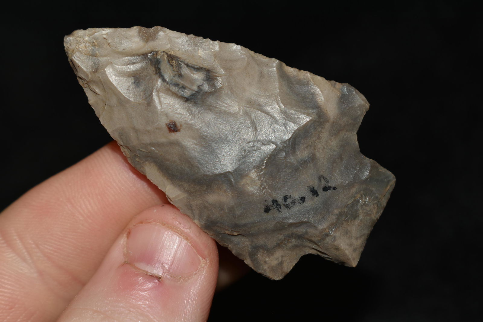 2 1/4" Square Stemmed Point found in Ohio (1 of 4)