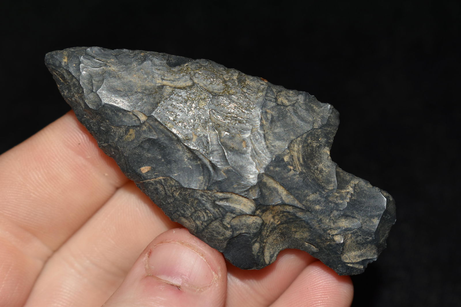 2 3/4" Square Stemmed Point found in Ohio (1 of 4)