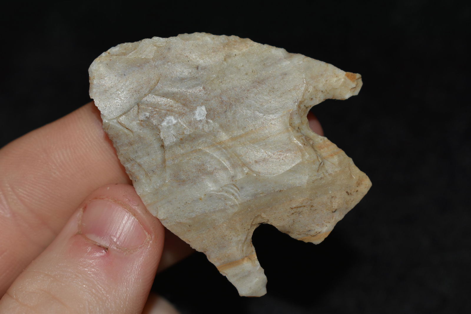 2 1/2" Melville found in Missouri (1 of 4)