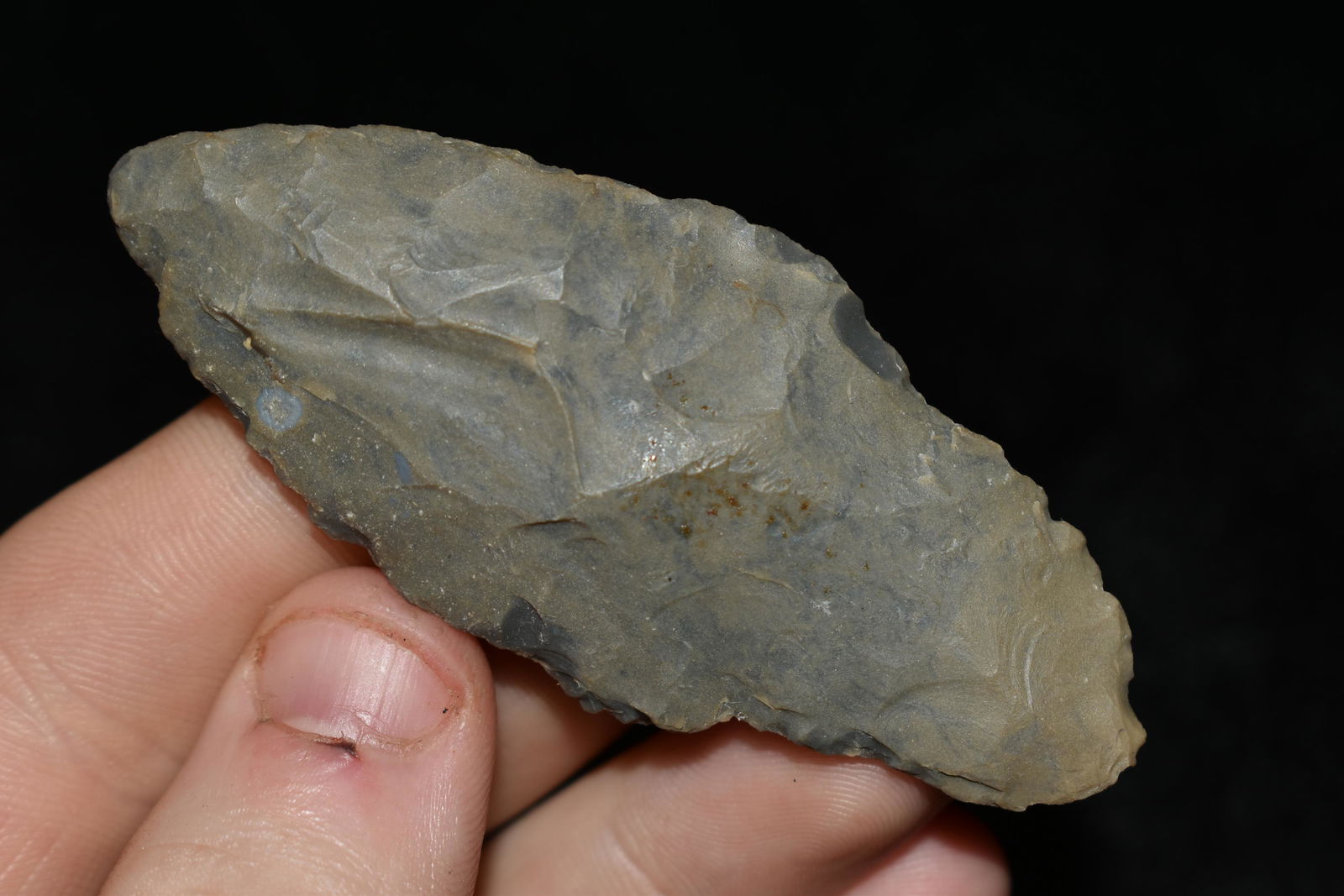 2 7/8" Adena found in Tennessee (1 of 4)