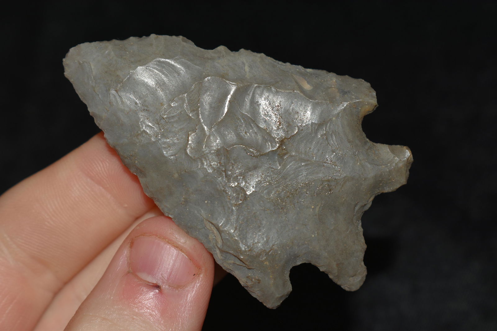 2 1/2" MacCorkle found in Ohio (1 of 4)