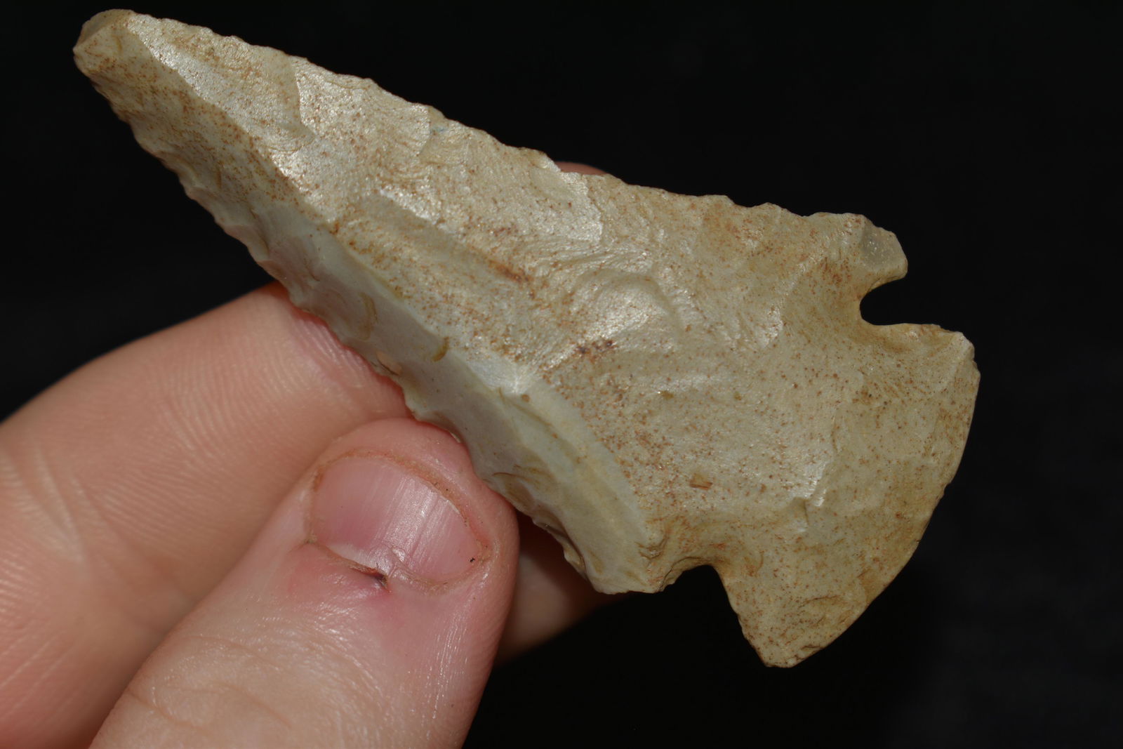 2 1/2" Lostlake found in Kentucky (1 of 4)