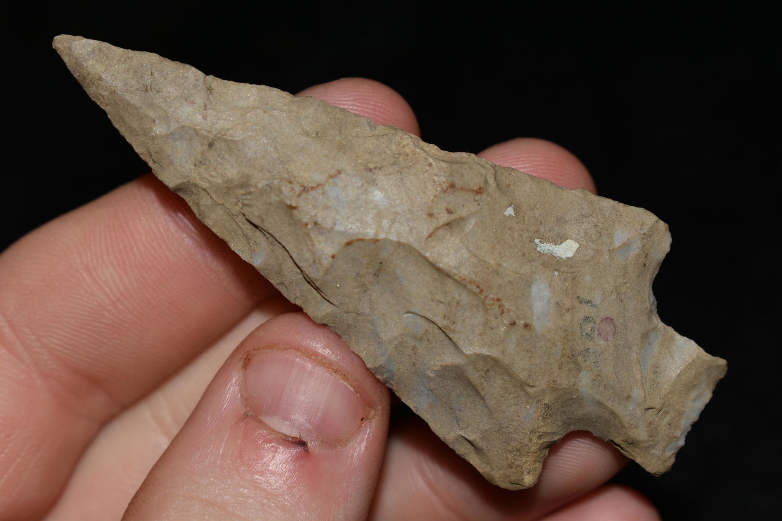 2 3/4" Sqaure Stemmed Point found in Spencer Co., (1 of 4)