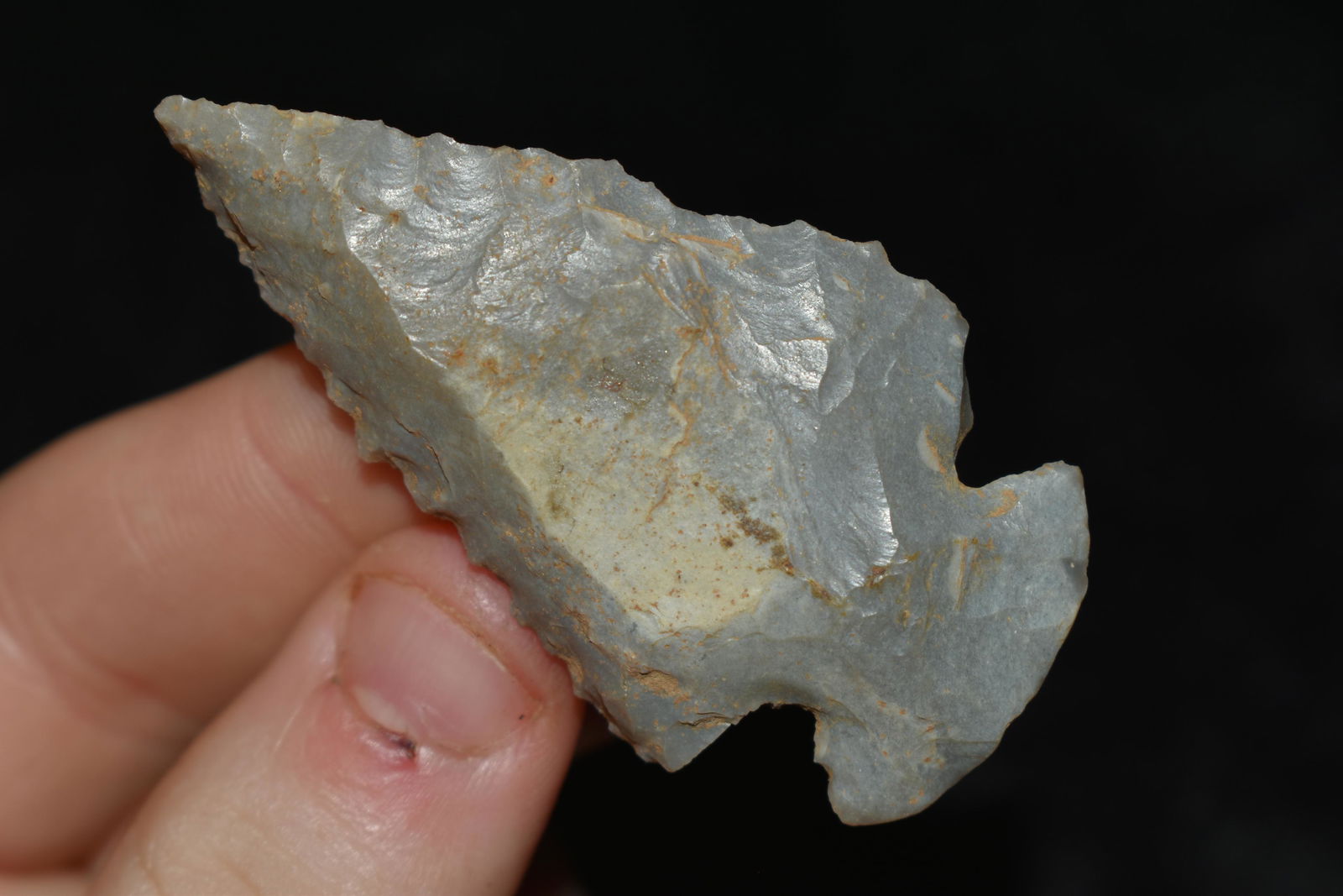 2 3/8" Dovetail found in Posey Co., Indiana (1 of 4)