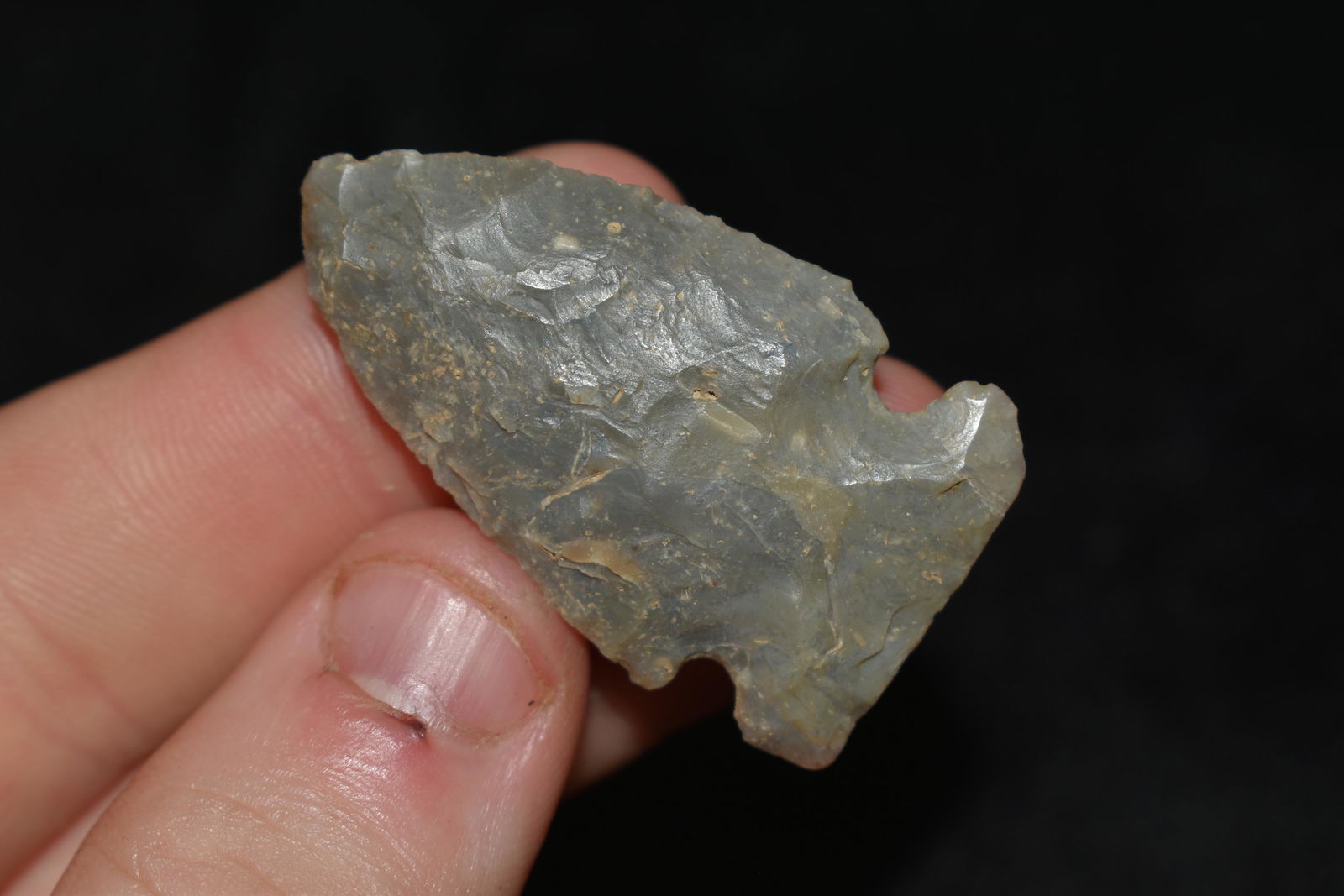 1 5/8" Godar found in Indiana: 1 5/8" Godar found in Indiana