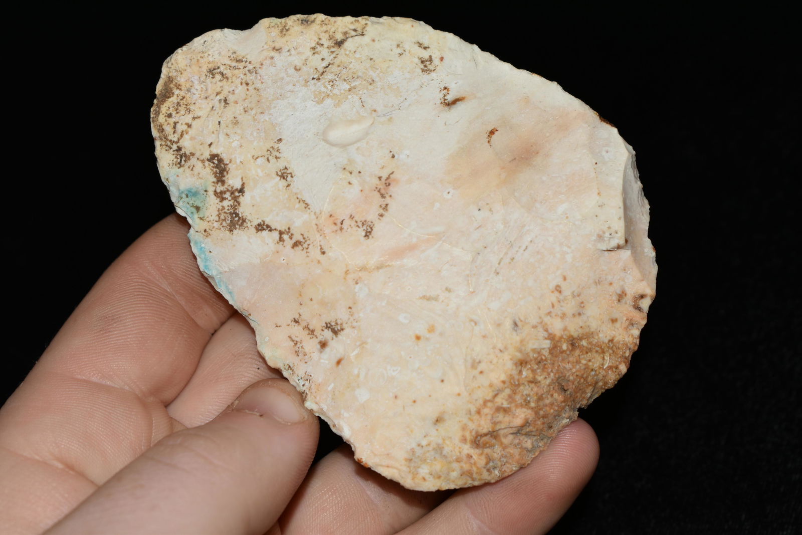 3 1/2" Northblade, Good Color, with Amazing Patination (1 of 4)