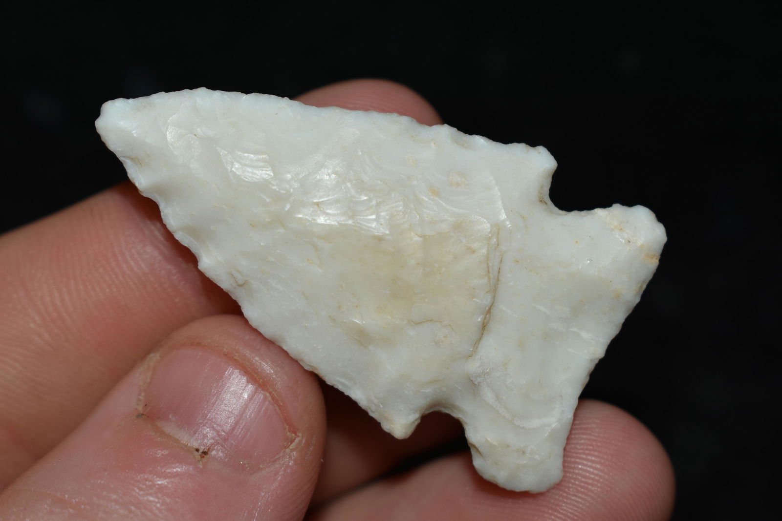 1 3/4" Robinson, This collection contains the (1 of 4)