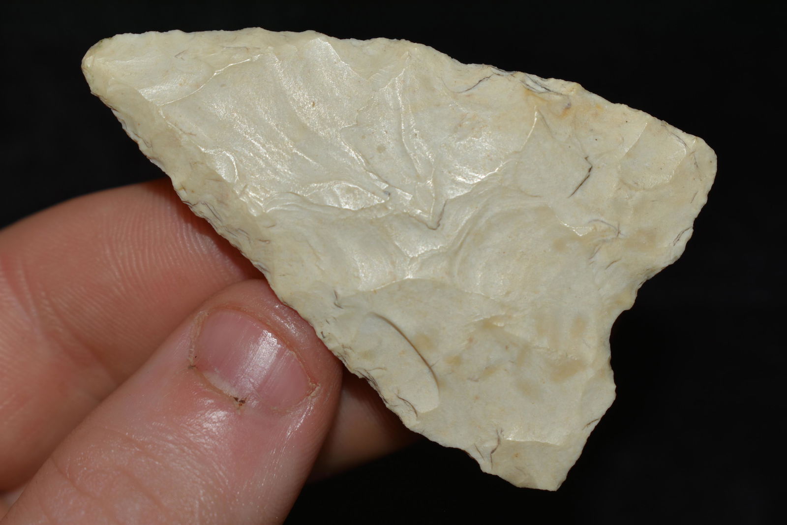 2 3/8" Dalton, Very Thin, This collection contains the (1 of 4)