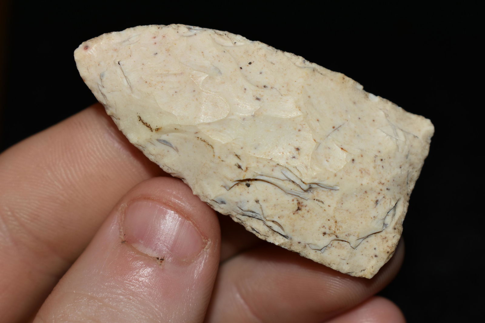 2" Early Archaic Atalatal Point, This collection (1 of 4)