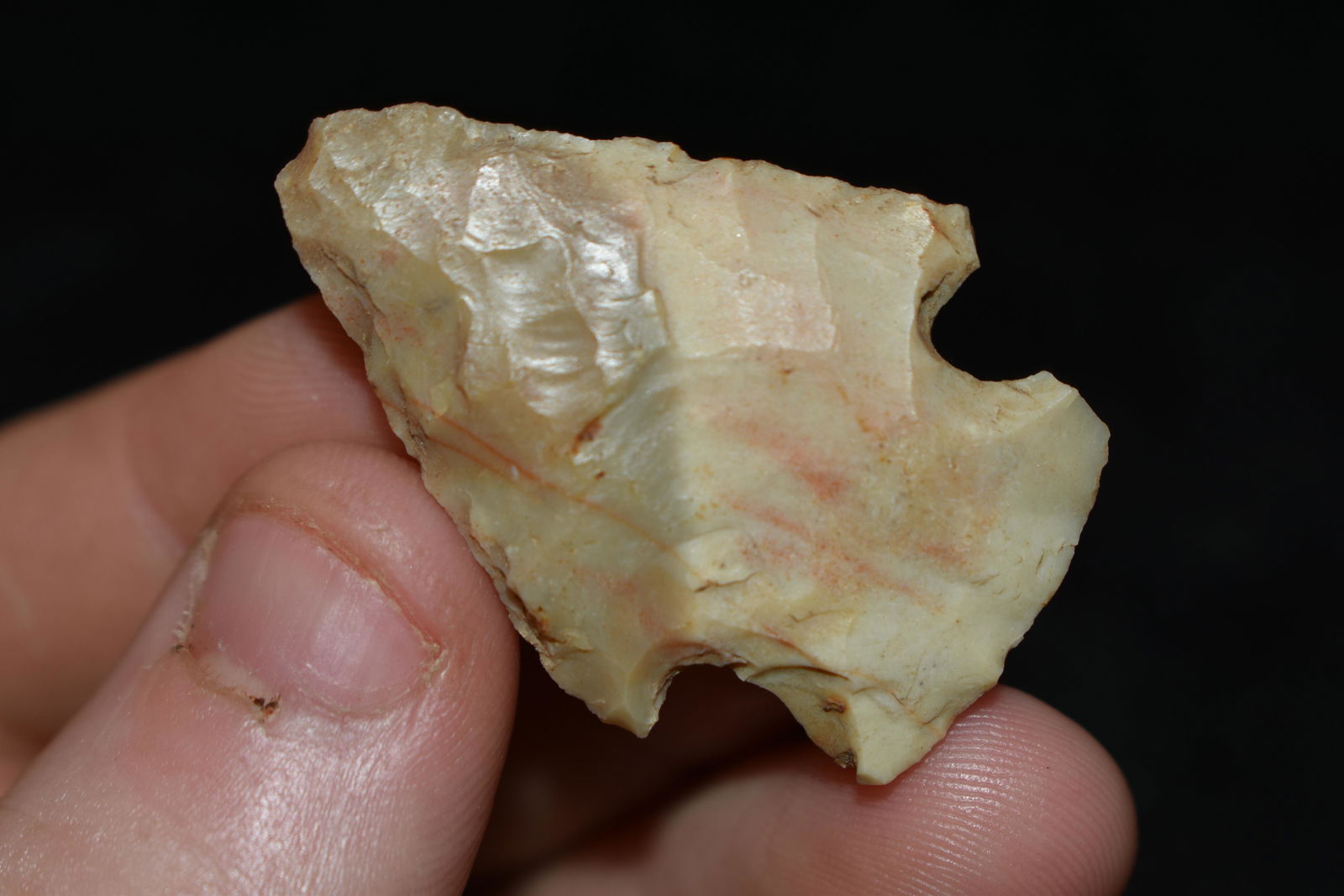 1 1/2" Two Toned Point, This collection contains the (1 of 4)