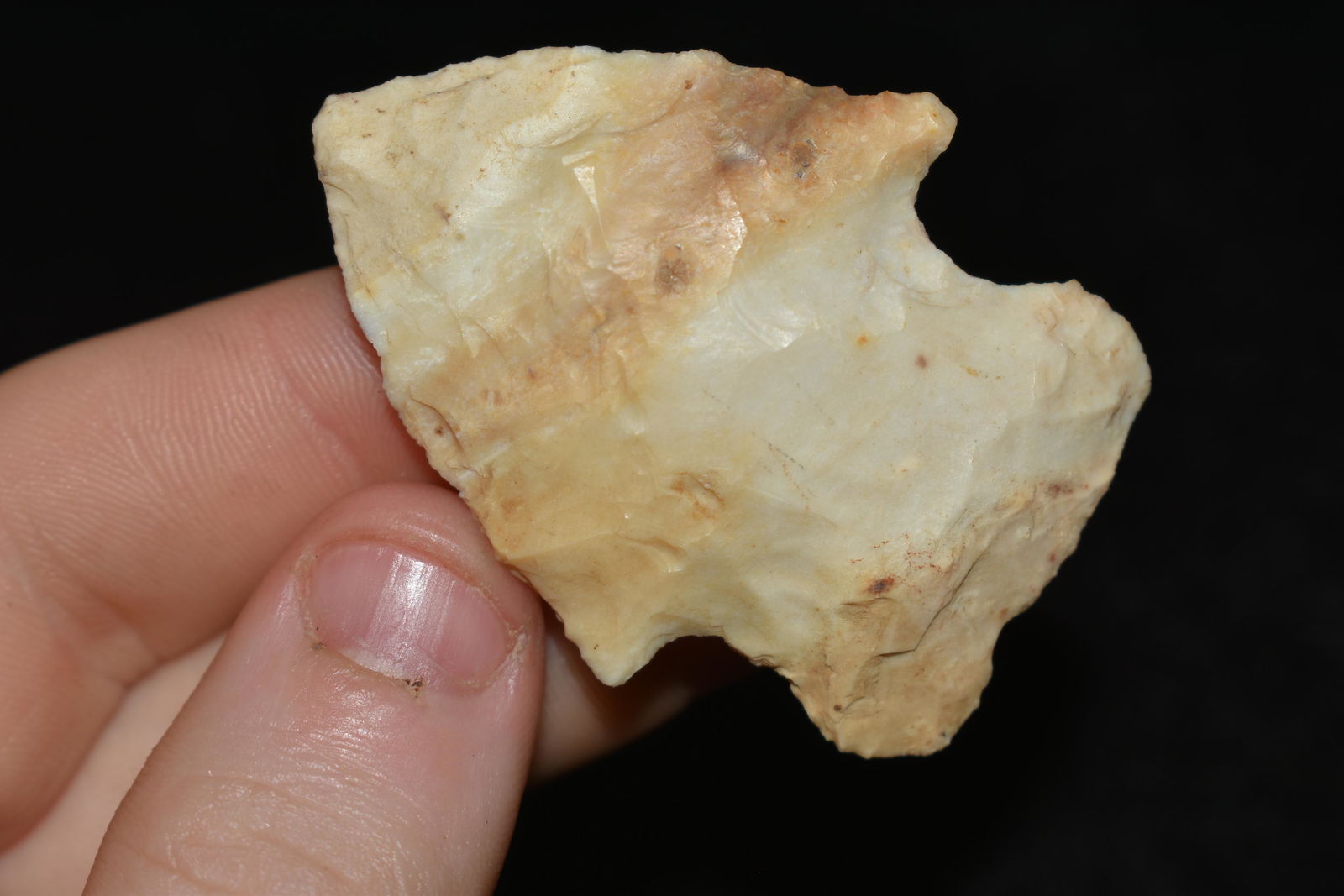 2" Snyders, This collection contains the personally (1 of 4)