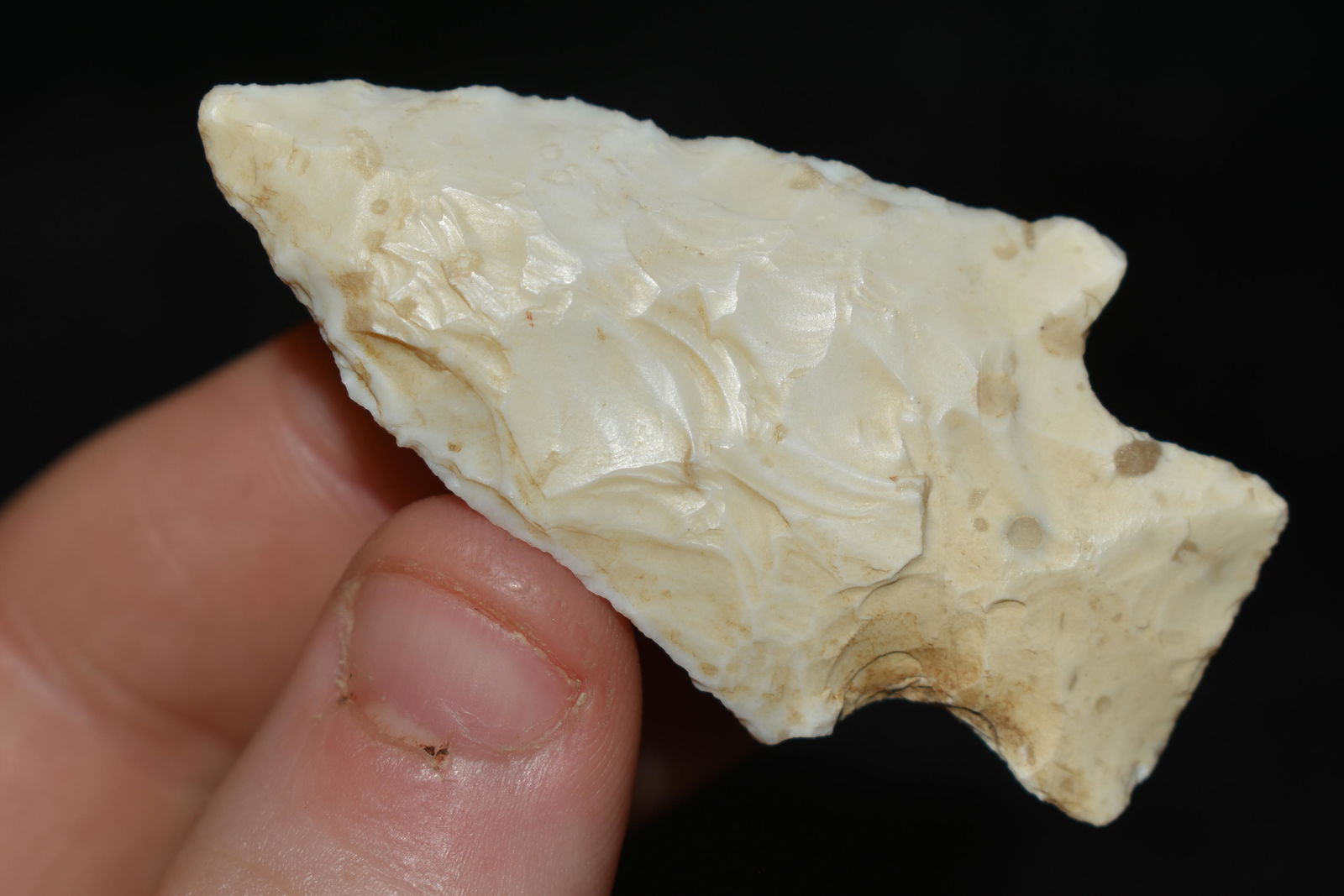 2 1/4" Lundy, This collection contains the personally (1 of 4)