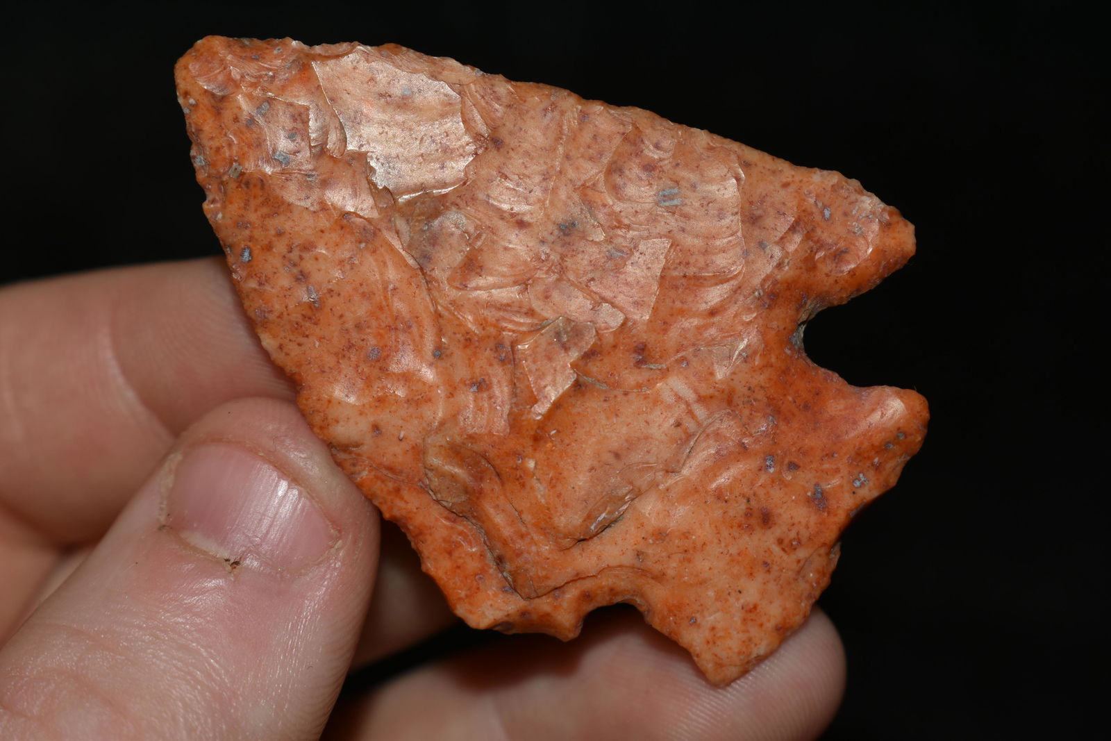 2 1/8" Snyders, Amazing Color, This collection contains (1 of 4)