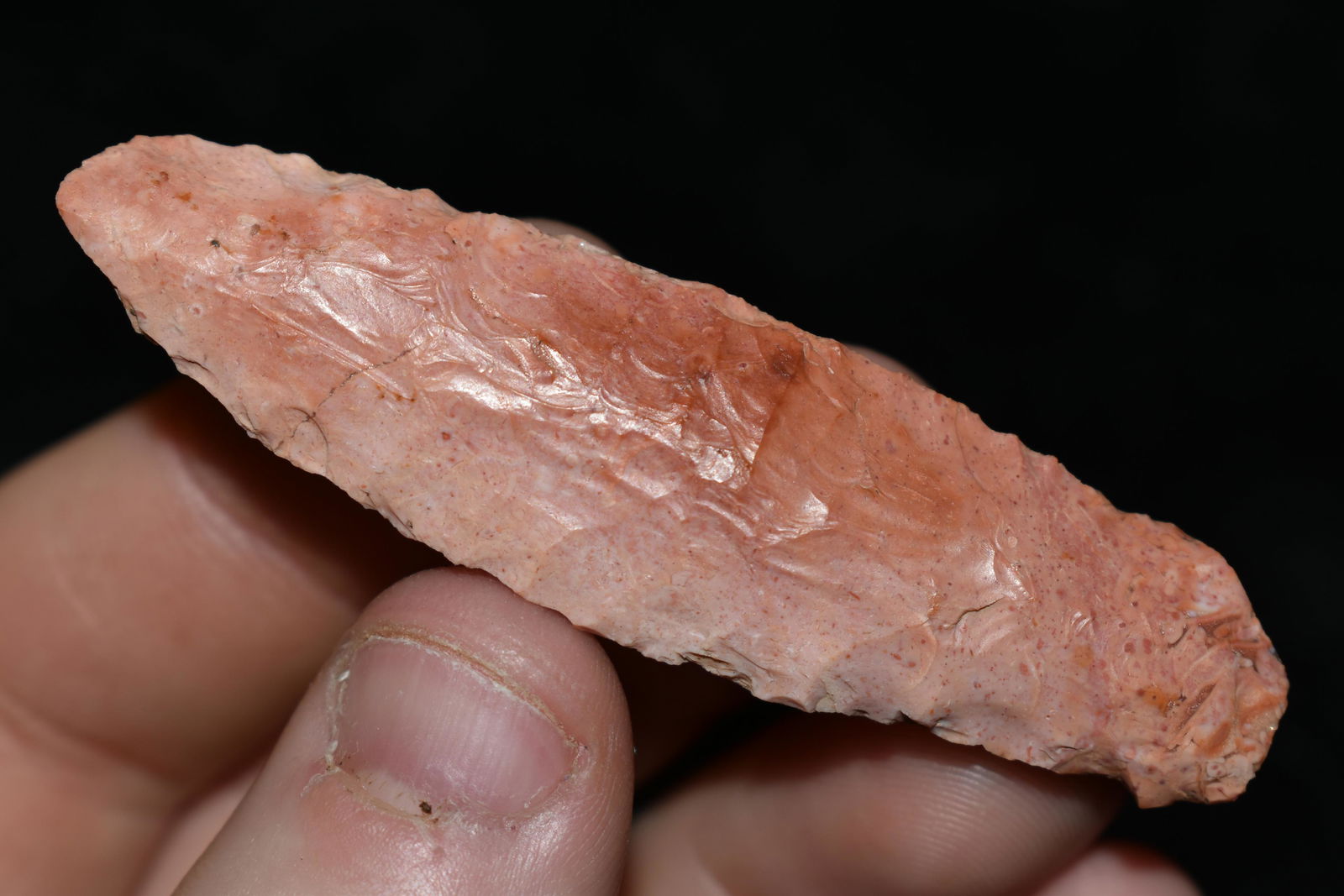 2 1/2" Heat Treated Fish Spear, This collection (1 of 4)