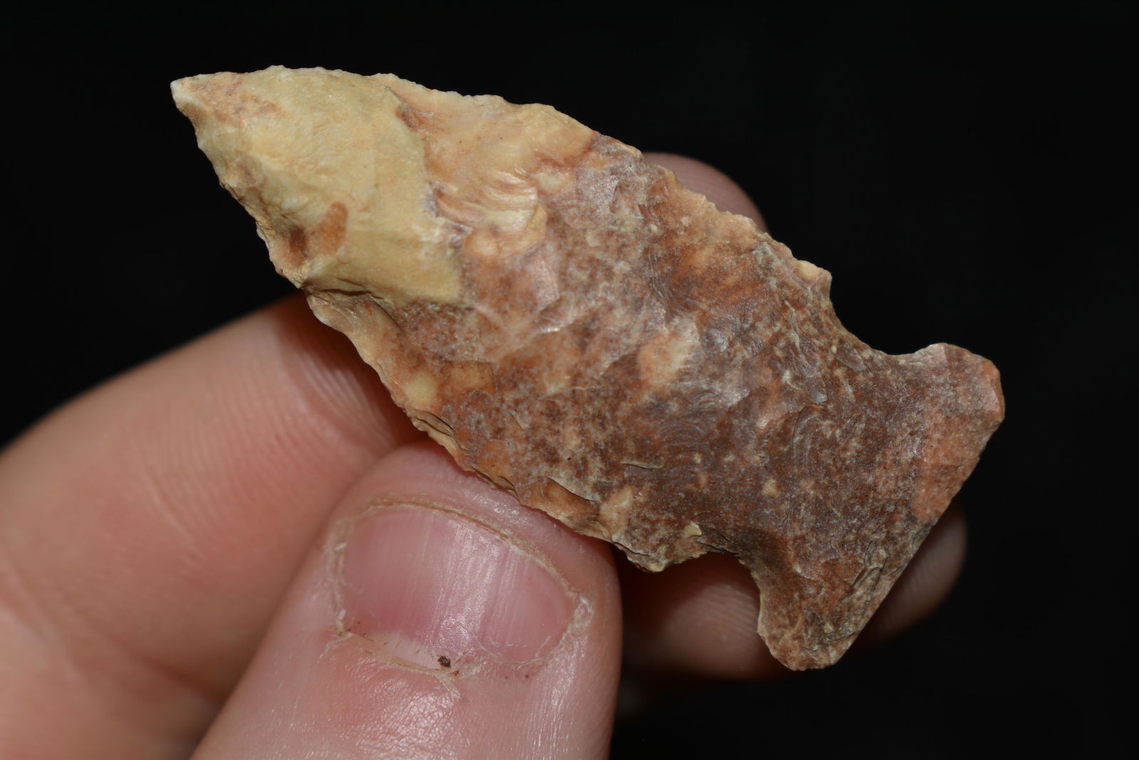 1 3/4" Robinson, River Bottom Stained, This collection (1 of 4)