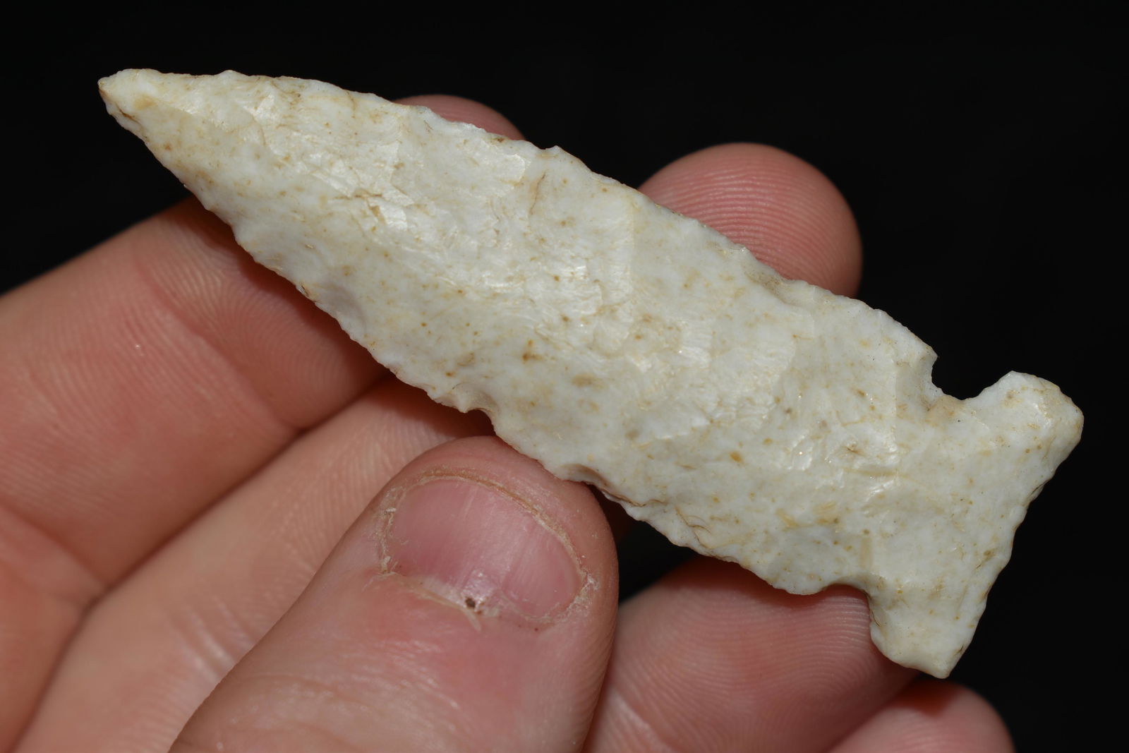 2 3/8" Robinson, This collection contains the (1 of 4)