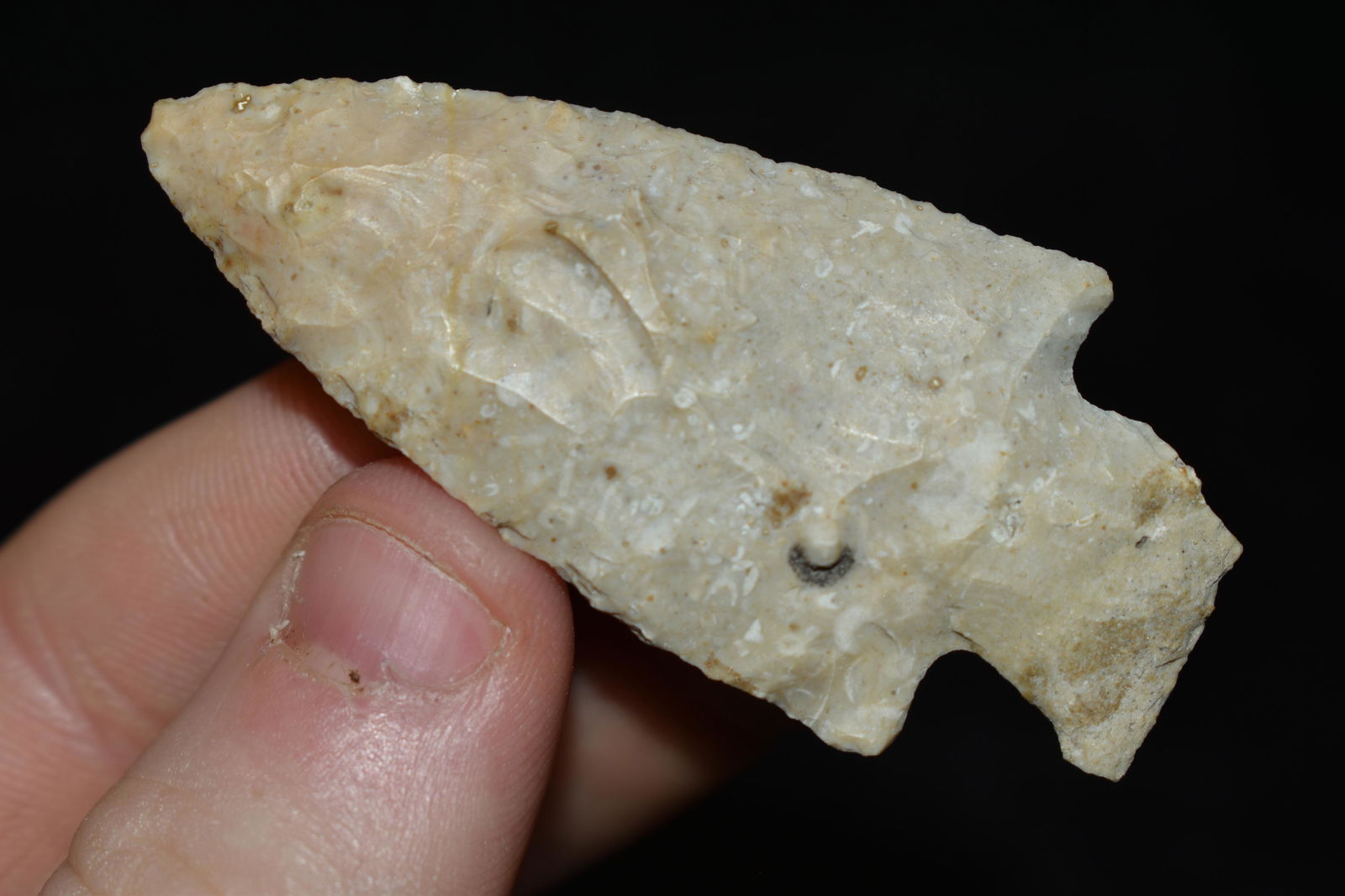 2 1/4" Archaic Corner Notch, This collection contains (1 of 4)