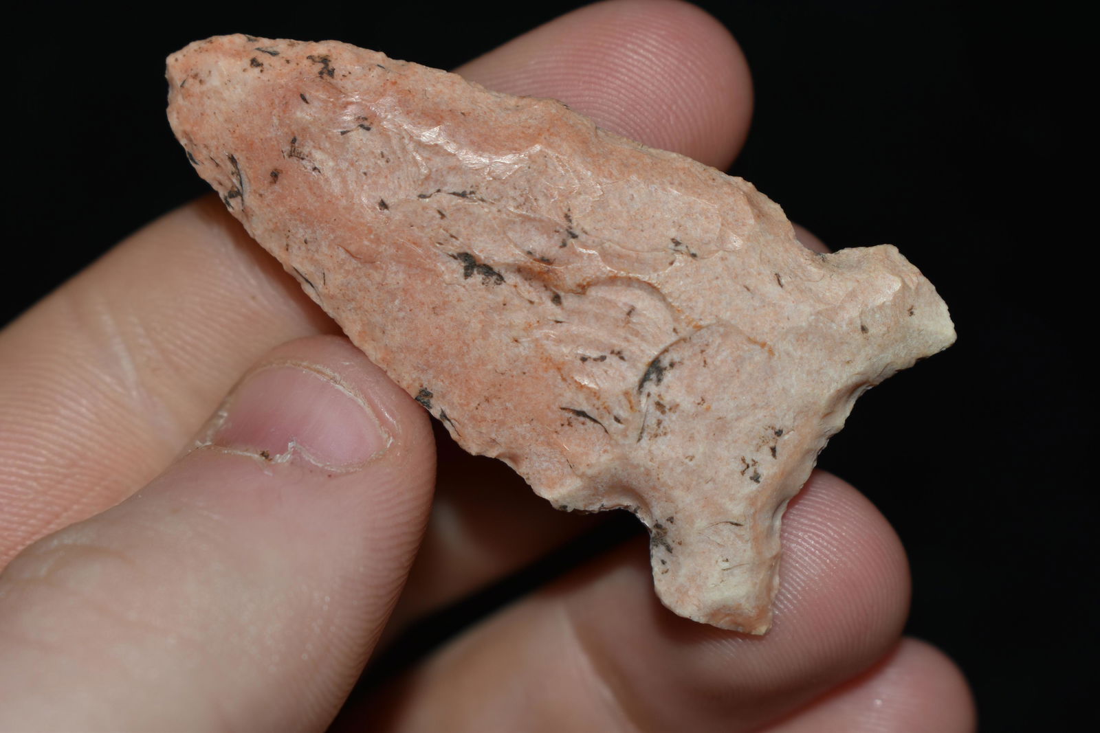 2" Graham Cave, This collection contains the personally (1 of 4)