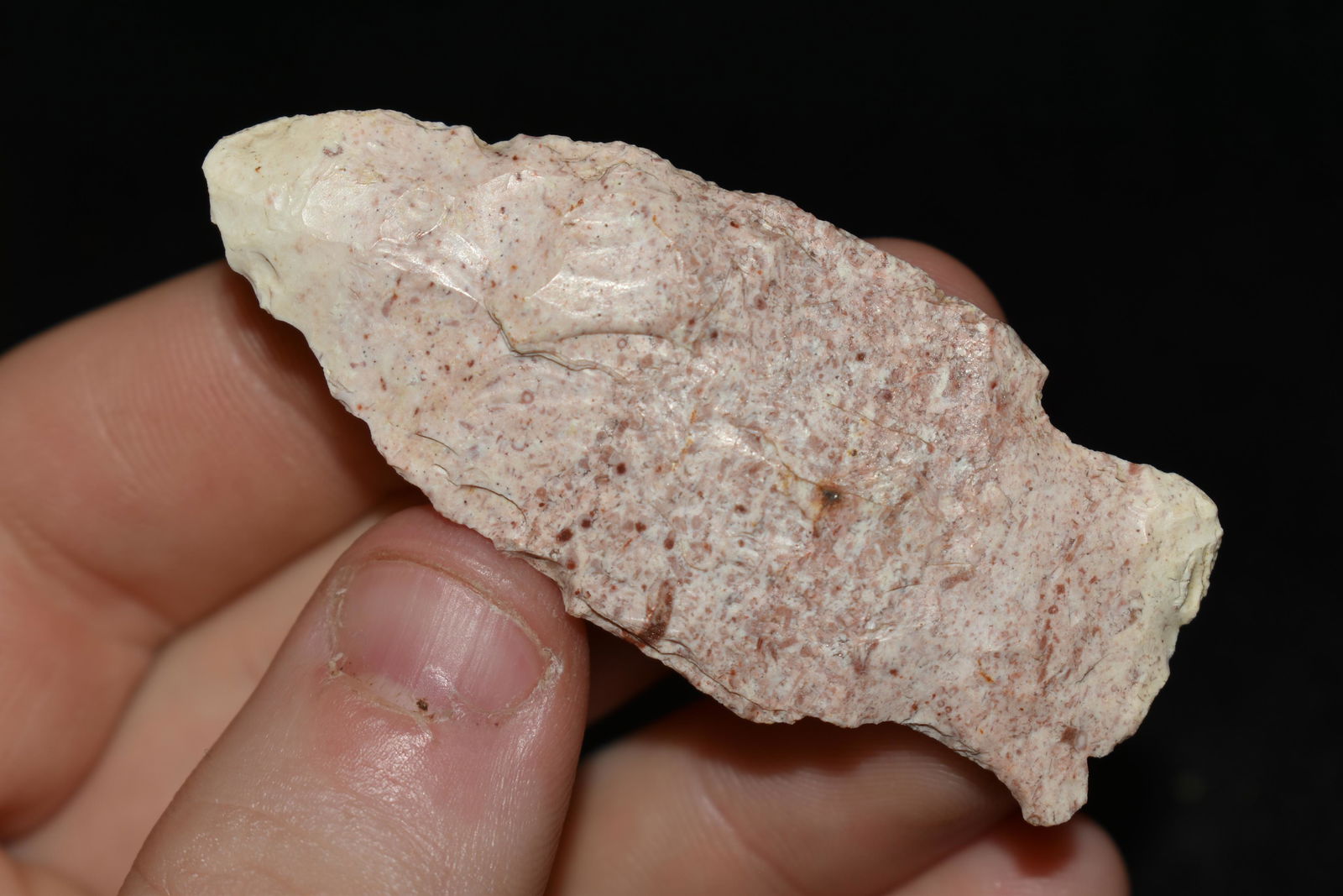 2 3/8" Pink Woodland Point, This collection contains (1 of 4)