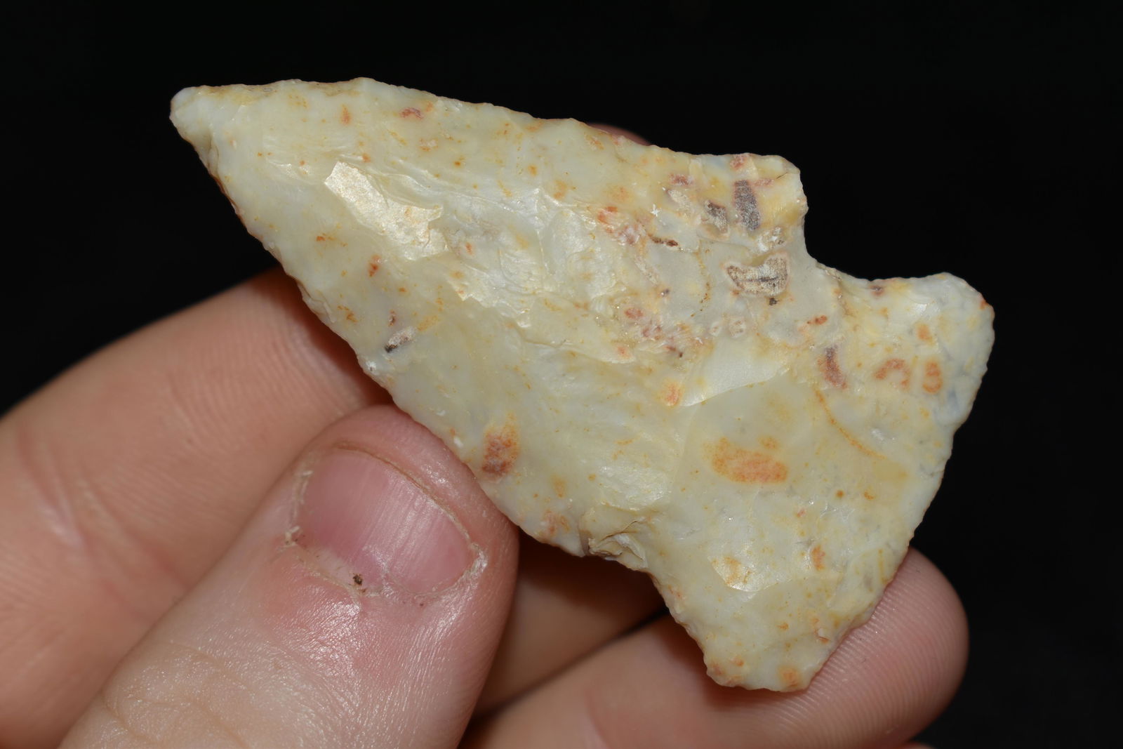 2" River Bottom Gibson, This collection contains the (1 of 4)