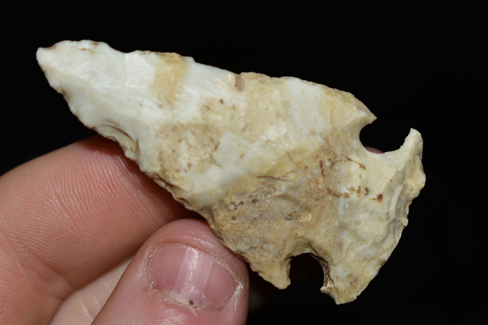 2 1/8" Gibson, Wonderful Circular Notches, This (1 of 4)